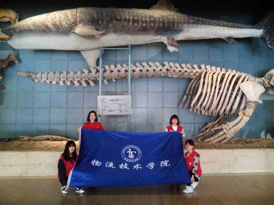 志愿行,走进浙江自然博物馆